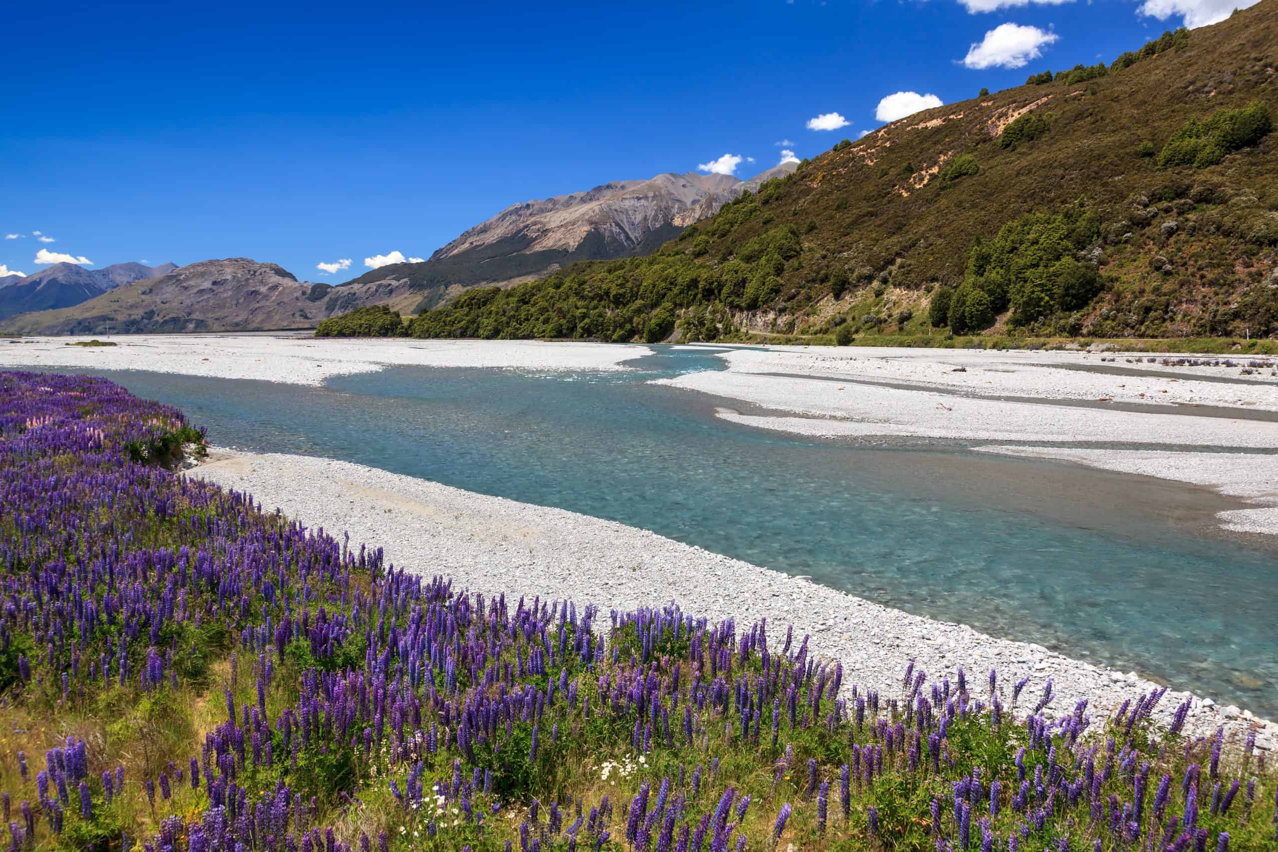 Arthurs-Pass-National-Park-Fluss