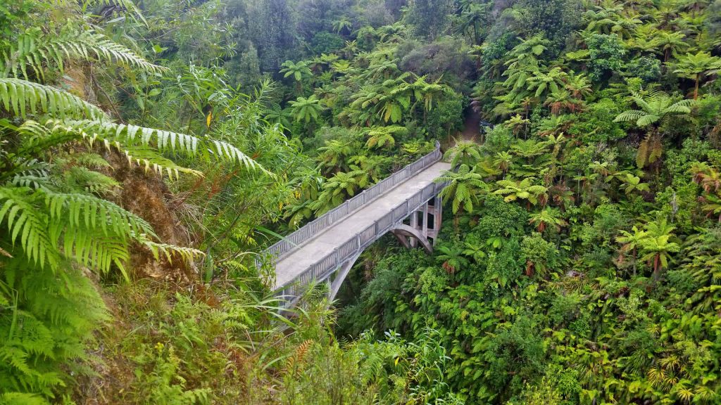 Whanganui-National-Park-Bridge-to-Nowhere