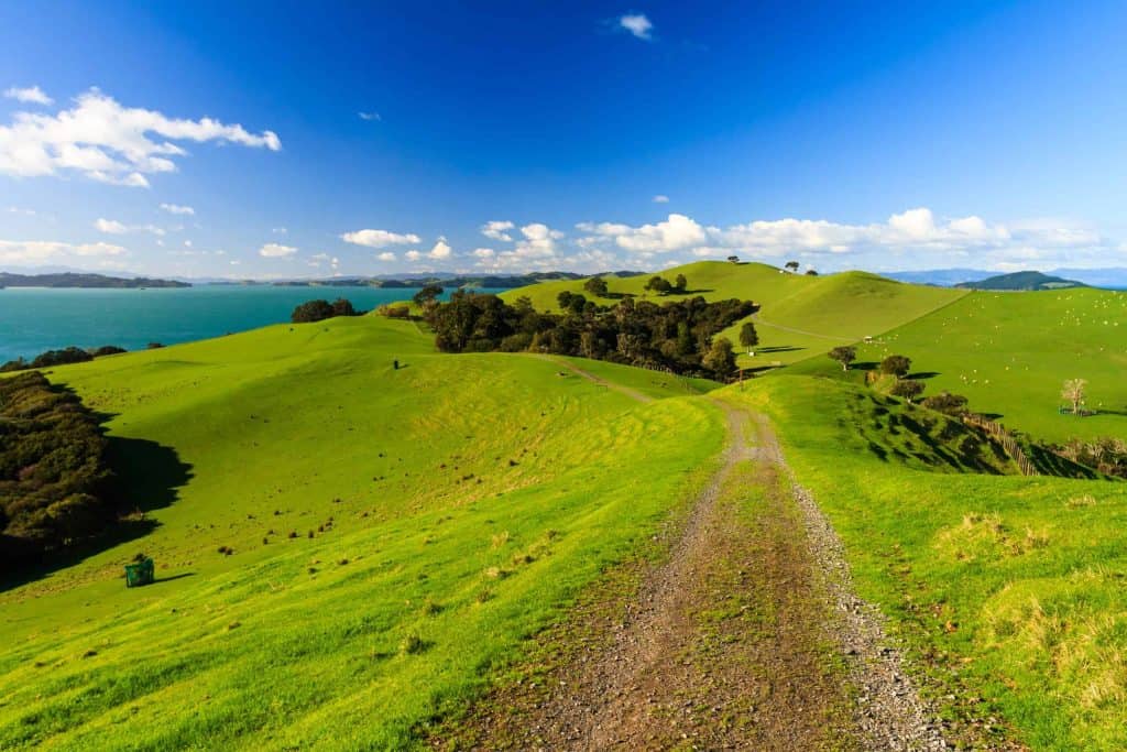 Auckland-Duder-Regional-Park
