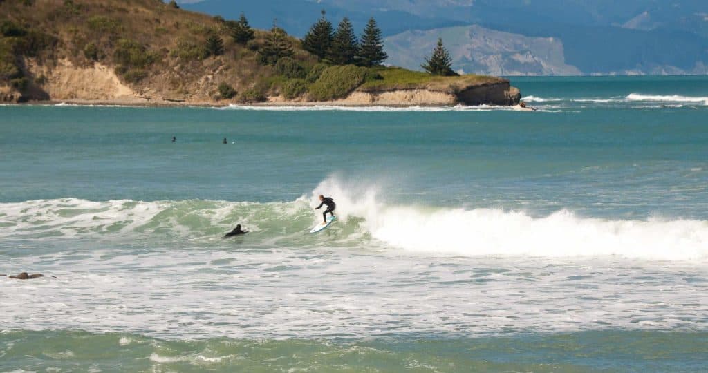 Gisborne-Sponge-Bay-Beach
