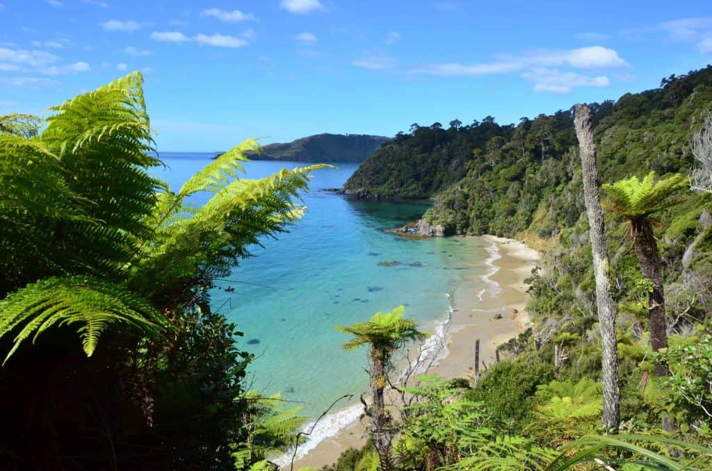 Great-Walks-Rakiura-Track-Stewart-Island