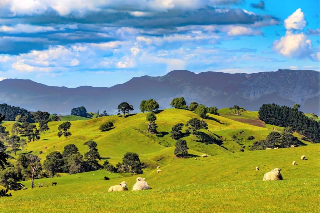 Matamata-Kaimai-Ranges