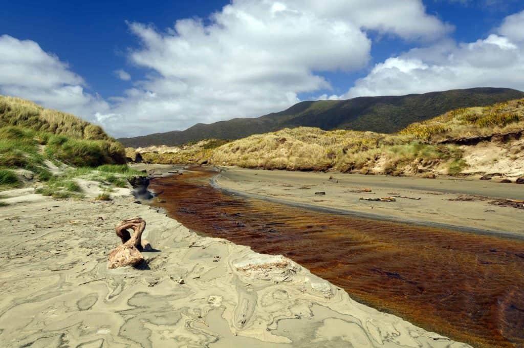 Stewart-Island-Martins-Creek-Mason-Bay