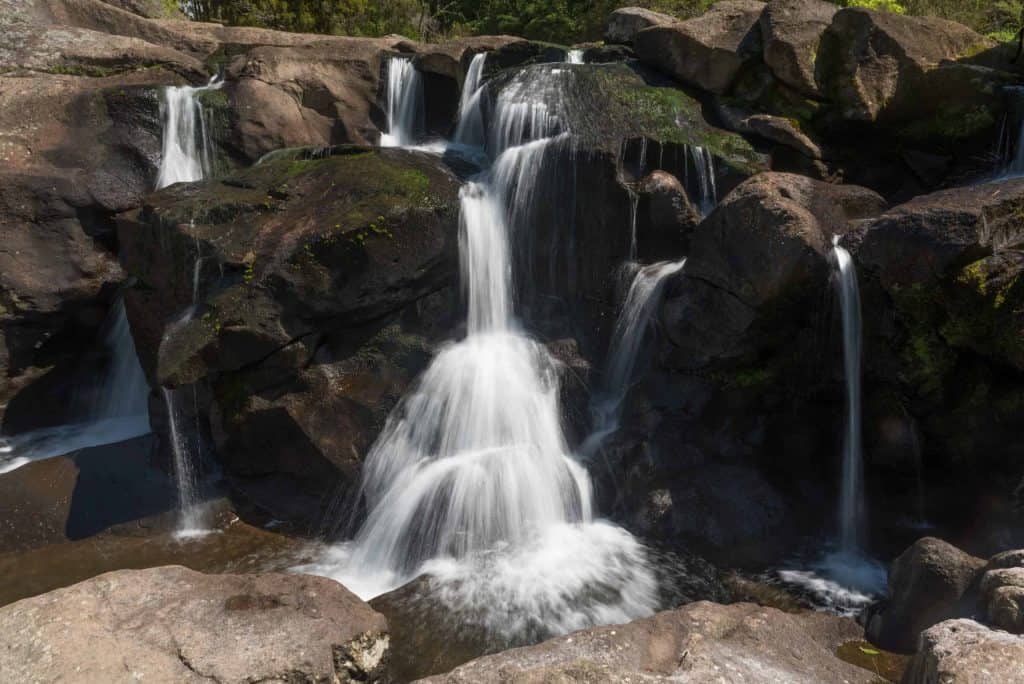 Tauranga-McLaren-Falls-Park