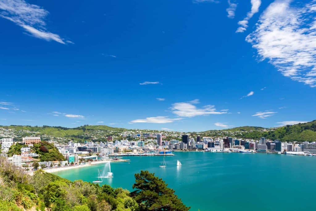 Wellington-Blick-von-Mount-Victoria