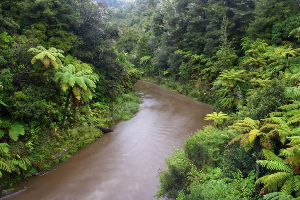 Whanganui-River-im-National-Park