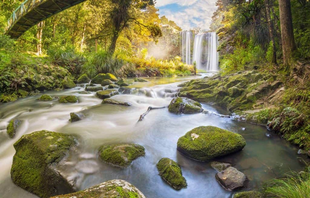 Whangarei-Scenic-Reserve-Whangarei-Falls